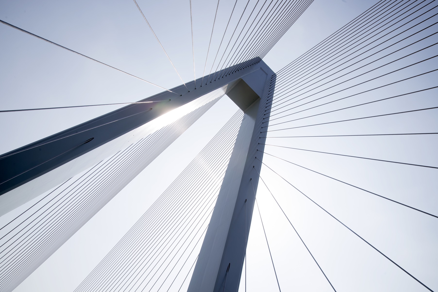 What is Your Intellectual Property Proctection Strategy?