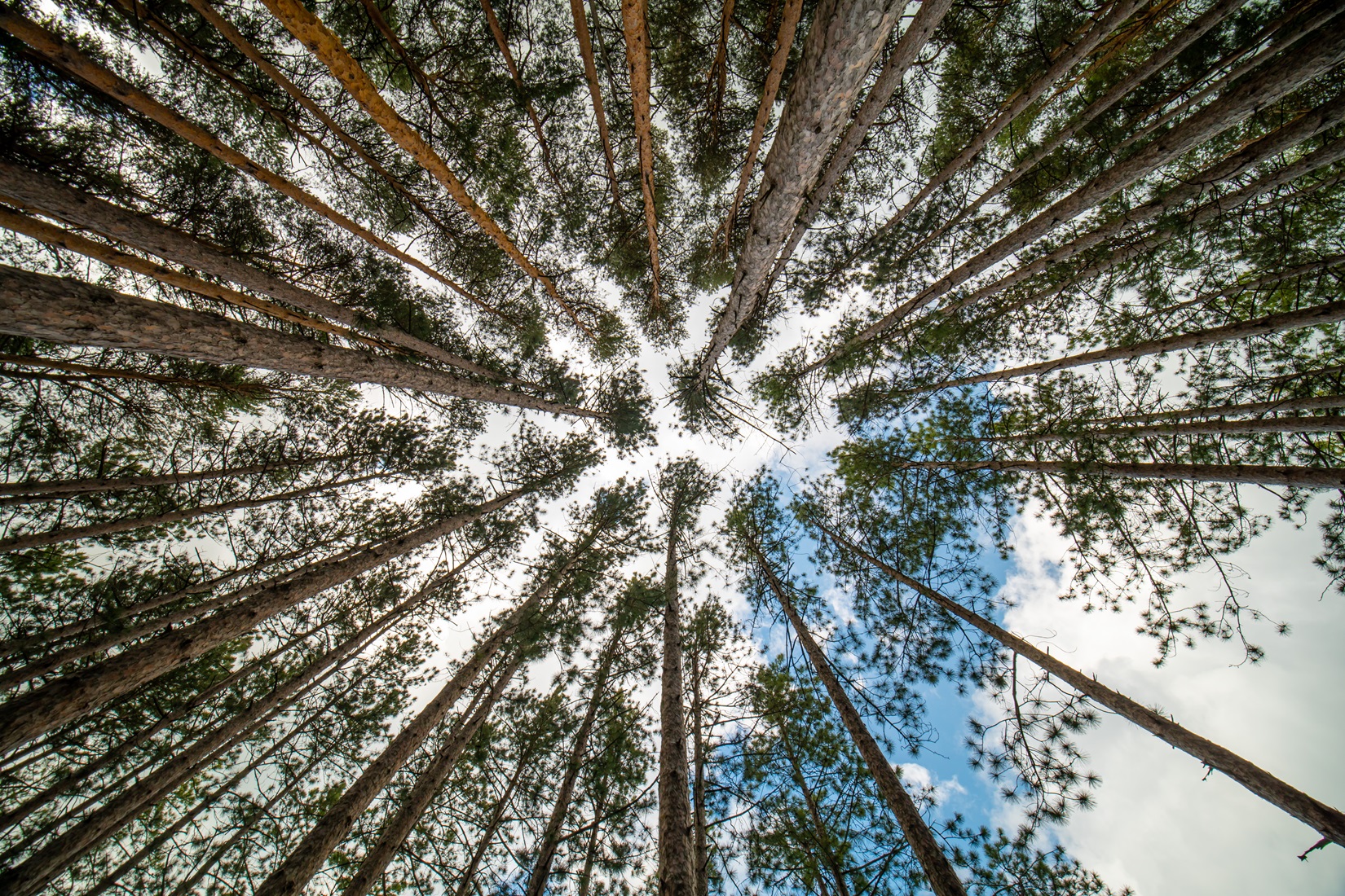 Now Available, 2023 Kenya Chapter in The Environment and Climate Change Law Review